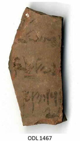 ostracon, image 1/1