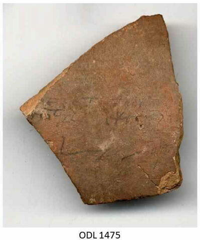 ostracon, image 1/2