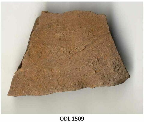 ostracon, image 1/1