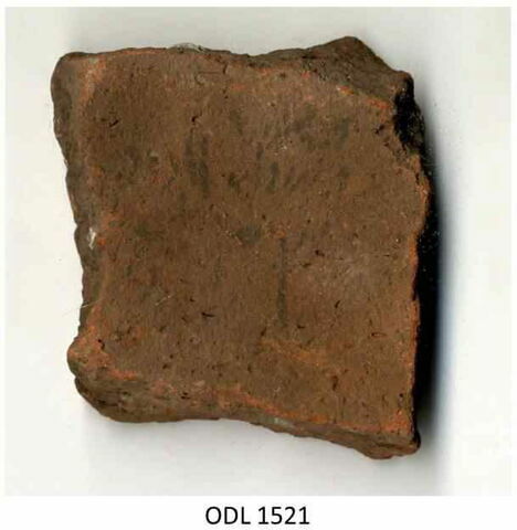 ostracon, image 1/1
