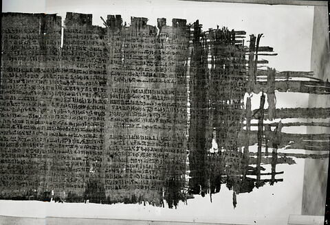 papyrus funéraire, image 5/7