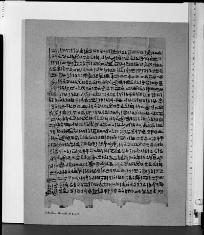 papyrus funéraire, image 2/2