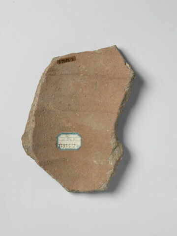ostracon, image 2/2