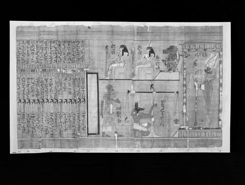 papyrus funéraire, image 7/9