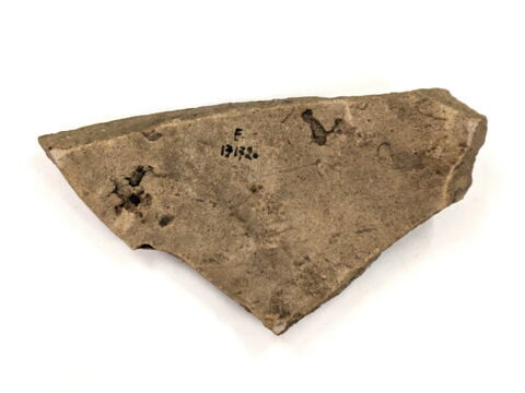 ostracon, image 2/2
