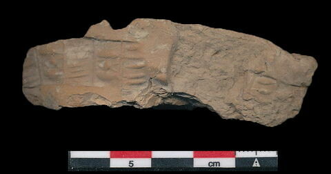 bulle de scellement ; fragment, image 1/1