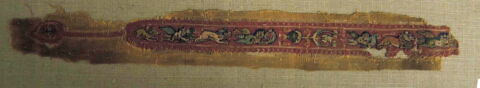 clavus ; fragment, image 2/2