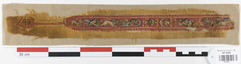 clavus ; fragment, image 1/2