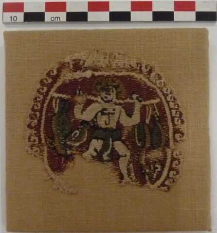 orbiculus, image 4/4