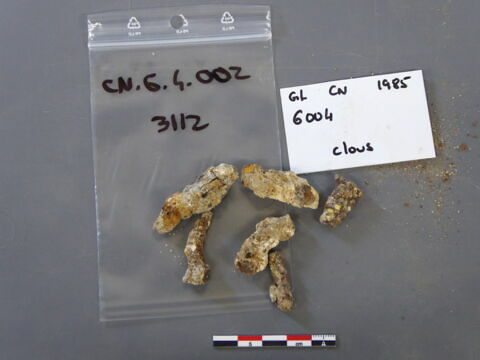 clou ; clou, fragment