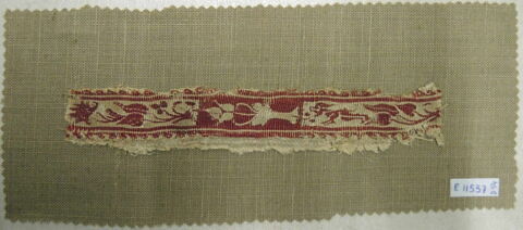 clavus ; fragment, image 2/2