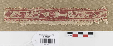 clavus ; fragment, image 1/2