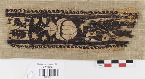 clavus ; fragment, image 1/2