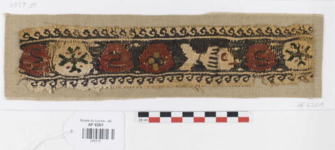 clavus ; fragment, image 1/1