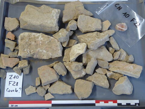 tuile, fragment ; brique, fragment ; élément de construction, fragment ; escargot ; vase, récipient, fragment