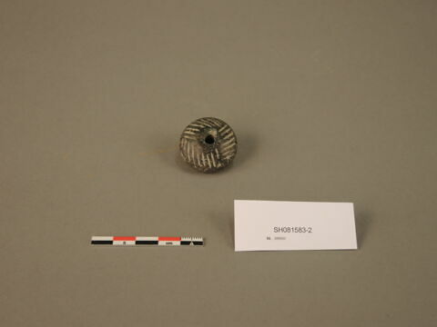 fusaïole, image 1/1