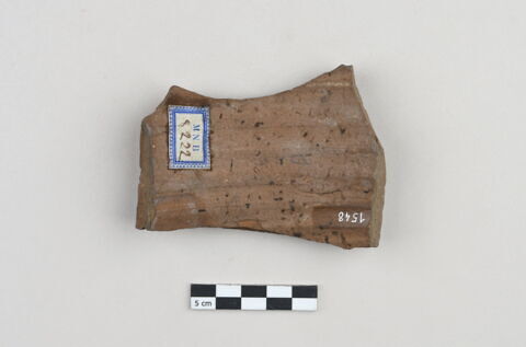 ostracon, image 2/3