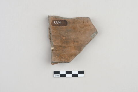 ostracon, image 2/4