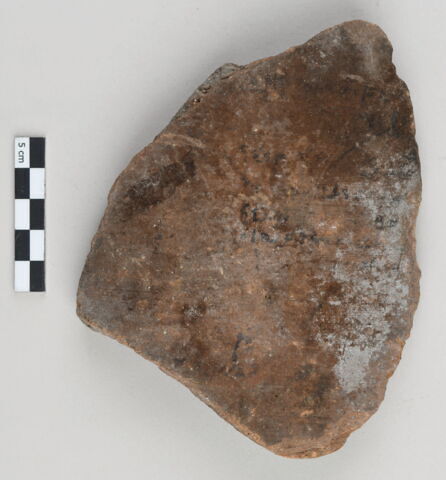ostracon, image 1/3