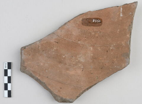 ostracon, image 2/3