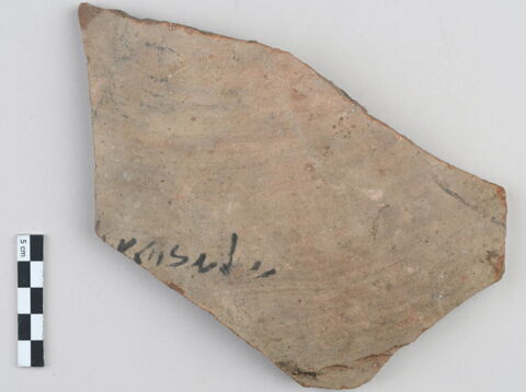 ostracon, image 1/3