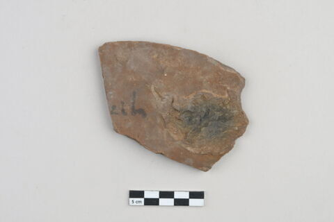 ostracon, image 1/3
