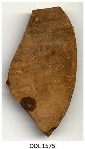 ostracon, image 1/1