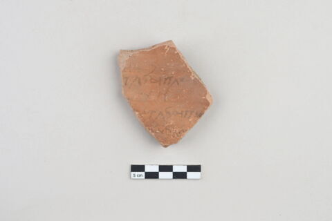 ostracon, image 1/3