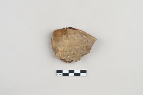 ostracon, image 2/3