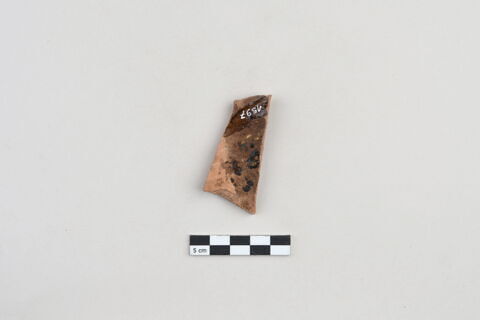 ostracon, image 2/3