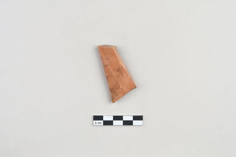 ostracon, image 1/3