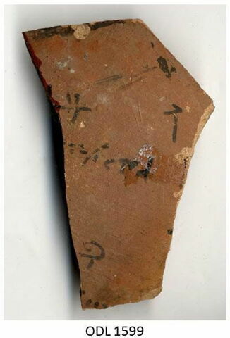 ostracon, image 1/1