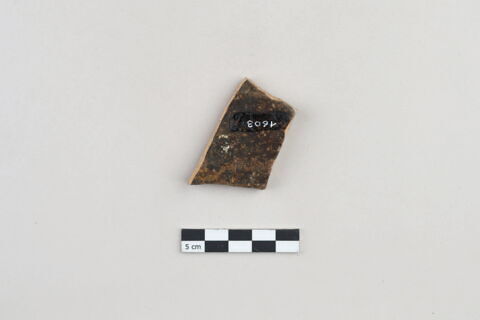 ostracon, image 2/5