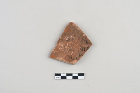 ostracon, image 1/3