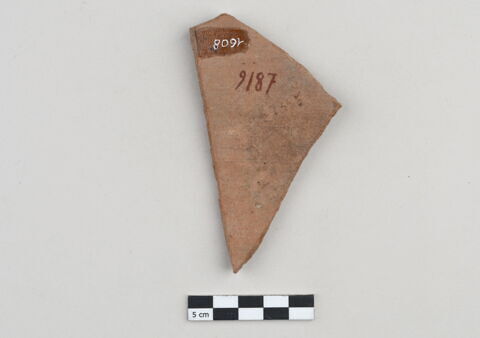 ostracon, image 2/3