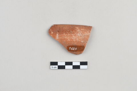 ostracon, image 2/4