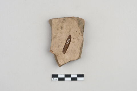 ostracon, image 2/3