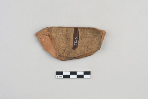 ostracon, image 2/3