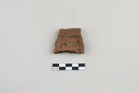 ostracon, image 2/4