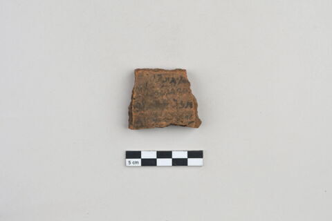 ostracon, image 1/4