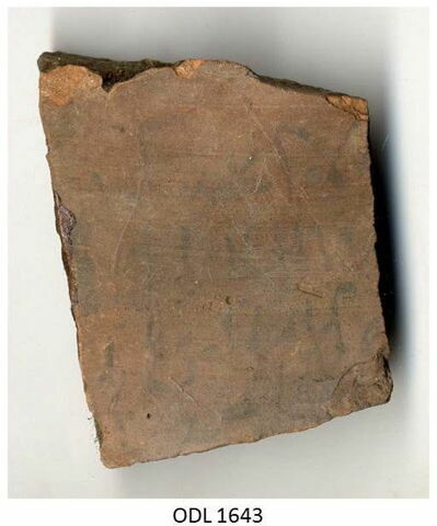 ostracon, image 1/1