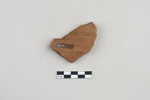 ostracon, image 2/5
