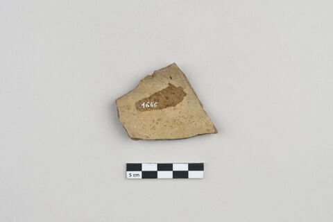 ostracon, image 2/3