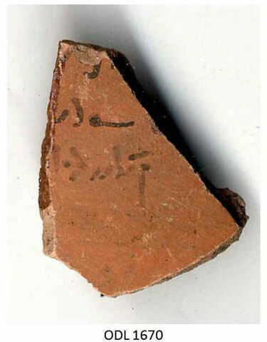 ostracon, image 1/1