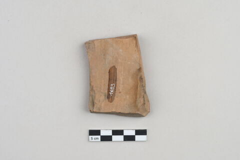 ostracon, image 2/3
