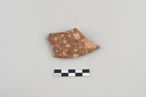 ostracon, image 1/3