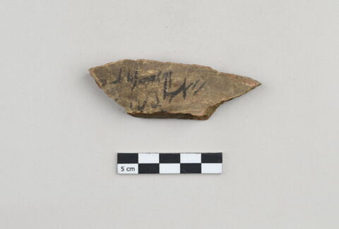 ostracon, image 1/3