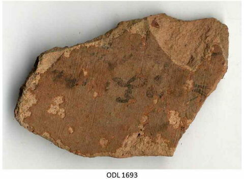 ostracon, image 1/1