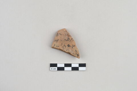 ostracon, image 1/3