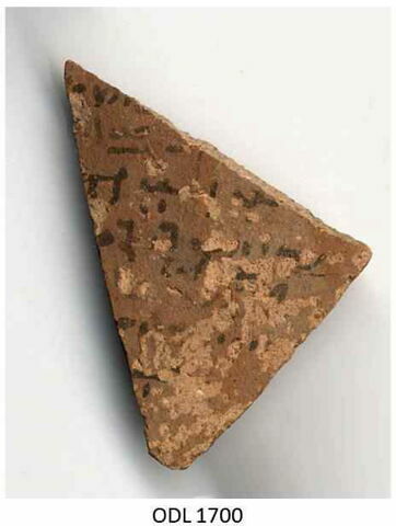 ostracon, image 1/1